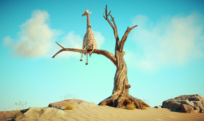 Giraffe stands on thin branch of withered tree in surreal landscape - 565052582
