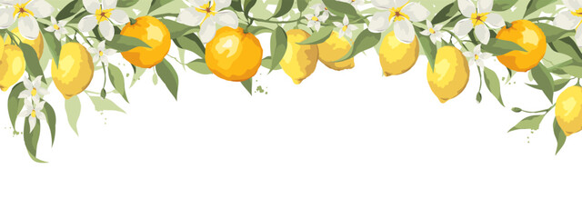 Summer banner with jasmine flowers and citrus branch. Vector illustration, narrow background with flowers, oranges and lemons. - obrazy, fototapety, plakaty
