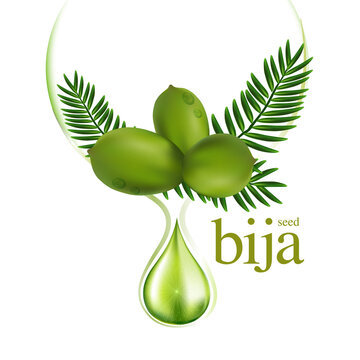 Bija Seed natural Skin Care Cosmetic.