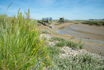 Intertidal salt marsh at low tide in Charente-Maritime, France on Atlantic ocean coastline