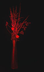 Red Bouquet of Dried Flowers in a Vase on a Black Background - 565058301