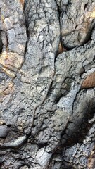 Texture or pattern of ancient dark and light stone of mountain with cracks