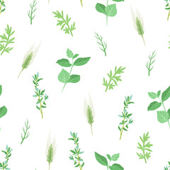 Botanical background. Vector seamless pattern with green leaves, twigs and ears on white. Cartoon illustration of wild meadow herbs.