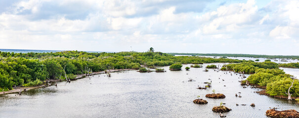 Punta Sur Nationalpark in Cozumel, Mexiko. Mangroven im Naturschutzgebiet ein Panorama.