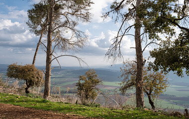 Northbound aerial view of Jezreel Valley [Valley of Megido], as seen from Mount Tabor in Lower Galilee, in the Northern district of Israel, Israel