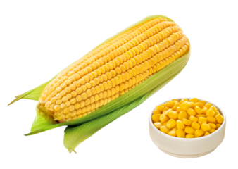 espinha de milho verde com casca e pote com grãos de milho