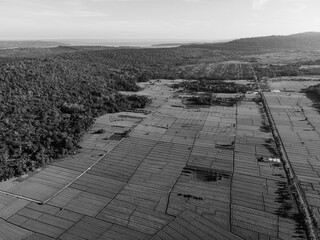 Aerial view of rice fields on black and white background