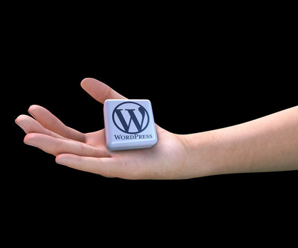 wordpress, wordpress logo showing in hand.