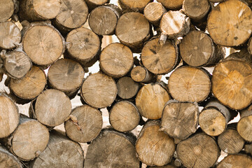 Real texture of wood log pile