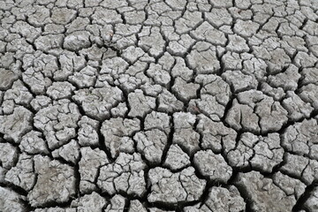 dry cracked earth