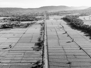 Aerial view of rice fields on black and white background