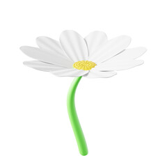 3D Daisy Flower