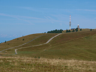ausgetrocknete Wiesen am Feldberg