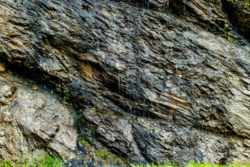 Hwy 1 roadside Mount Revelstoke National Park British Columbia Canada