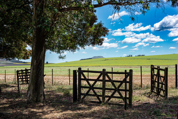 View of the field with wooden gates in the Argentine Pampa