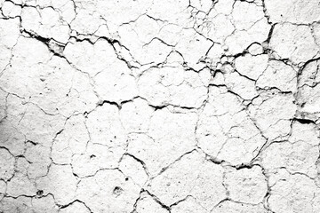 Fototapeta Texture soil dry crack background pattern of drought lack of water of nature white black old broken. obraz