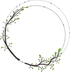 circle branch
