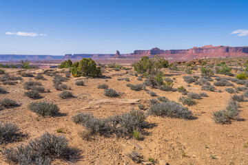 hiking the murphy trail loop in the island in the sky in canyonlands national park, usa