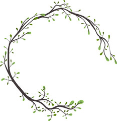 circle branch