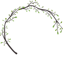 circle branch