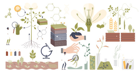 Plant biology with scientific organic research tiny person collection set, transparent background. Elements with nature sprouts, crops, flowers and seeds GMO modification.