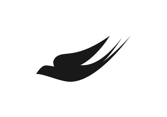 this is bird logo design