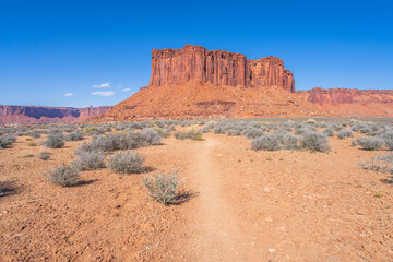 hiking the murphy trail loop in the island in the sky in canyonlands national park, usa