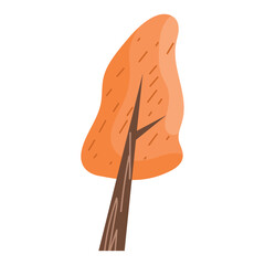 spring season orange tree