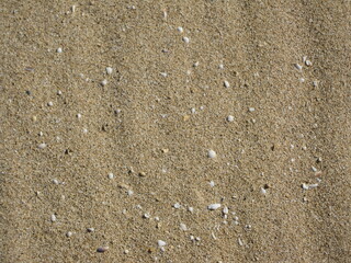 texture of sand