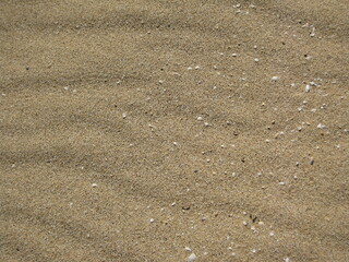 Fototapeta na wymiar Beautiful white sand beach in Hawaii