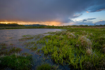 sunset over swamp