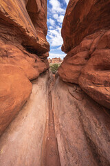 hiking the chesler park loop trail in the needles in canyonlands national park, usa