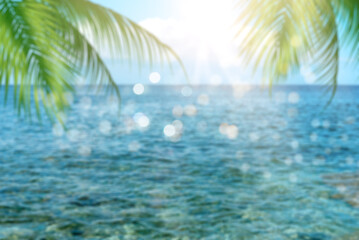 Fototapeta na wymiar Blur of beautiful nature green palm leaf on tropical beach, abstract background.
