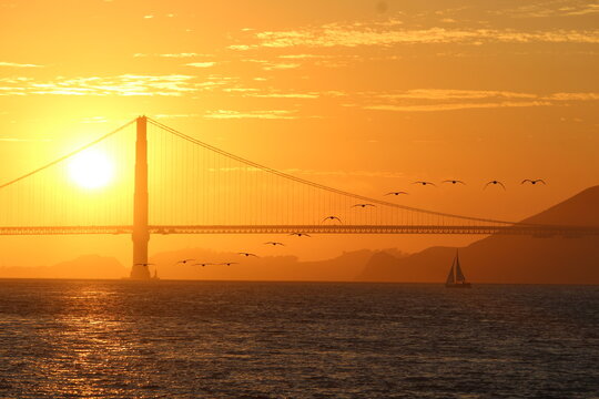 Golden Gate in the golden hour - Powered by Adobe