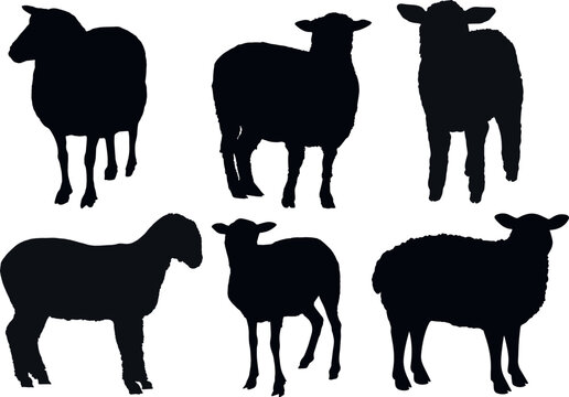 Sheep silhouette set icon, EPS Vector