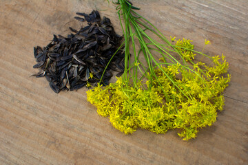 seeds of honey Woad plant dye (Isatis tinctoria)