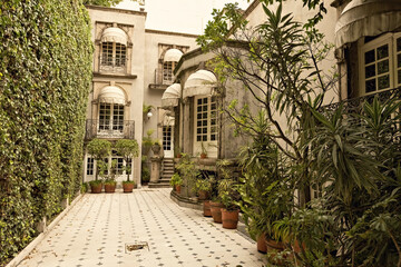 Colonial house in Roma Norte Mexico area, Mexico city