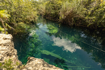 Amazing turquoise water cenote at casa Tortuga in Tulum, Mexican cenote natural beauty, Tulum, Mexico
