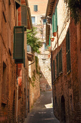 Fototapeta na wymiar narrow graded brick alley with green shutters in Assisi