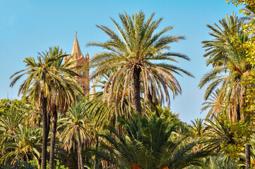 Fototapeta na wymiar Palermo cathedral tower seen from behind the palm trees in the park