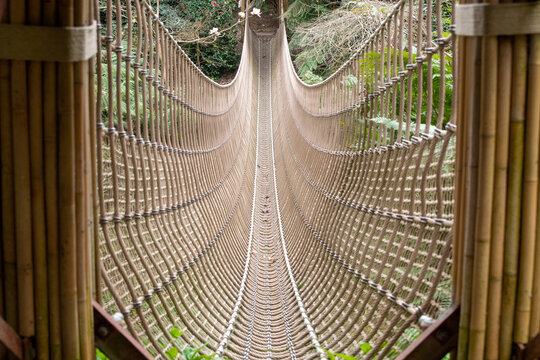 Fototapeta Looking along suspended rope bridge across a wooded valley
