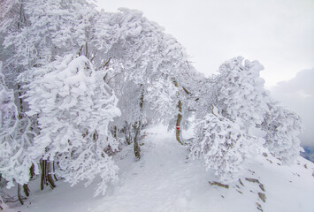 Monte Semprevisa (Italy) - A snow view of the highest peak in the Monti Lepini, Lazio region, with...