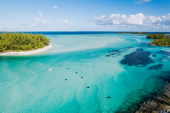 Aerial of Dinghy in Turquoise Waters with Stingrays in the Bahamas