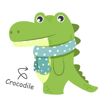 Crocodile cartoon characters with clothes . Vector .