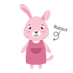 Rabbit cartoon characters with clothes . Vector .