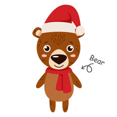 Bear cartoon characters with clothes . Vector .