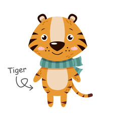 Tiger cartoon characters with clothes . Vector .