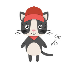 Cat cartoon characters with clothes . Vector .