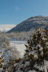 Paesaggio invernale presso Roccaraso - L'Aquila - Abruzzo - Italia