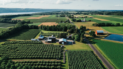 Fields Near Keuka Lake